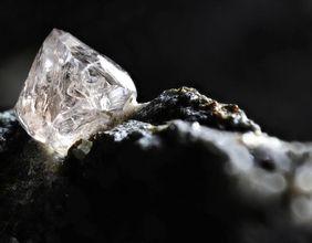 Is Mirasol Resources Showing Internal Confidence Amid Value Shift?