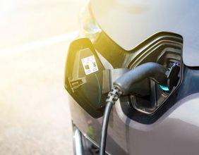 Is Electrovaya’s (TSX:ELVA) Largest Shareholder Position A Key Development For The TSX And TSX Smallcap Index (TXTW)?