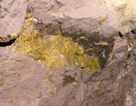 Will GoldMining Utilize Its Cash Effectively?