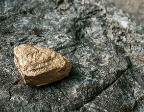 Adriatic Metals Shows Progress at Vares Mine Despite Challenges, RBC Lowers Price Target