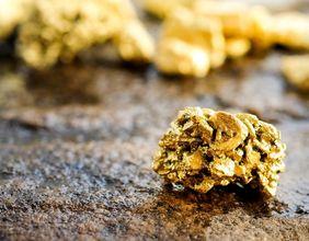 Is Orvana Minerals (TSX:ORV) Showing Consistent Movement Across TSX and TXTW Indexes?