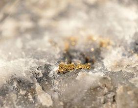 Is Centerra Gold (TSX:CG) Positioned For Shifts In The TSX Materials Sector?