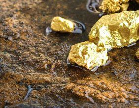 ASX Gold Stocks Rally as Bullion Hits Record Highs 2026
