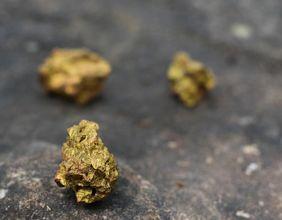 Gold Road Resources Shares Slide Despite Record Gold Production