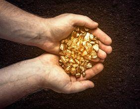 Who Holds the Key Shares of Newcore Gold?
