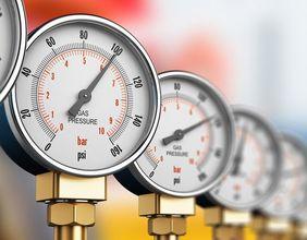 Does TerraVest's Growth Warrant Its Elevated Market Value?