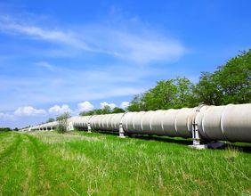 Has Shell's Senior Management Overhaul Signaled a Shift in Strategy?