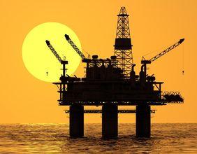 How Do Retail Investors Shape the Future of NuVista Energy?