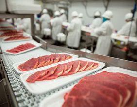 Hogs Dip Slightly on Monday