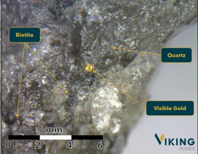 Viking Mines (ASX:VKA) Unveils High-Grade Visible Gold at Riverina East Project