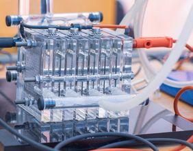 Why Has Ballard Power Systems' Stock Declined Despite Promising Revenue Growth?