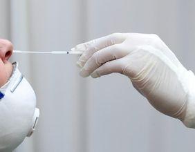 Healthcare Stocks Enter a Catalyst-Rich Phase as Sector Eyes Fresh Momentum