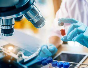Bruker Momentum Builds Across Life Sciences Tools Market