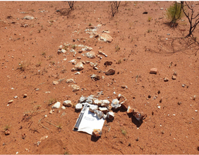 Raiden Resources (ASX: RDN) acquired 100% Li-Cs-Ta rights at Arrow Project