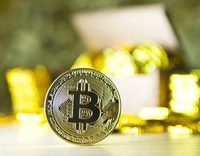 Trump’s Inauguration Brings Crypto Optimism Amid Anticipated Delays in Reforms