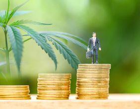 Why Are Cannabis Stocks Drawing Attention in the S&P/TSX Composite Index?