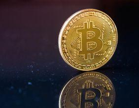 Bitwise Predictions for 2025 The Golden Era of Cryptocurrency