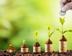 Why Are UK AIM Cannabis Shares Back Under Market Focus?