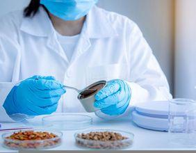 NWF Group's (LON:NWF) Stock Surge
