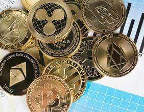How Does Financial Literacy Influence Cryptocurrency Ownership?