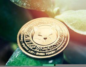 Dogecoin’s Evolution A Rising Contender in the Cryptocurrency World