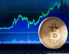 Is Rexas Finance Set to Surpass Shiba Inu Before the Next Surge?