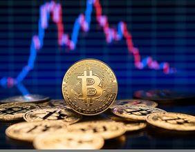 Exploring Key Players In The Crypto Market This Week