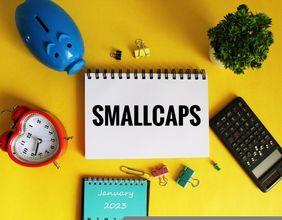 Small-Cap Stocks: A Golden Opportunity Amid Market Volatility