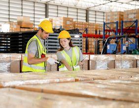 What’s Driving the Quiet Momentum in (ASX:DOW) Shares in 2025?