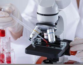 Can S&P 500 Access Expansion Drive Eli Lilly Obesity Growth?