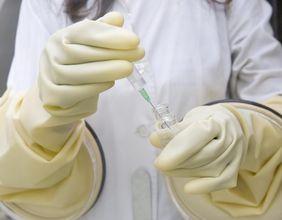 Has Van Eck Associates Corp's Position in Dr. Reddy's Laboratories Shifted Significantly?