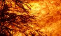  Bushfire Affected Communities Receiving Blockbuster Funding Support 