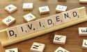  Why are dividends important? Should investors participate in Dividend Re-investment Plans? 