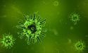  The Coronavirus Situation in China; Update from Phoslock Environmental Technologies 