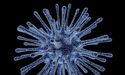  Australian Shares Shed Wealth Amid Coronavirus Pandemic 