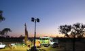 Cassini Resources and Flagship West Musgrave Project: Driving Down the Battery Road