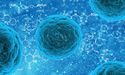  ASX Sinks 1.4% amid Aggravating Concerns over Coronavirus Outbreak 