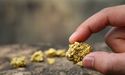 Alice Queen Receives Strong Investors’ Interest for $ 3.88 Million Placement to Fund Northern Molong Belt Assets