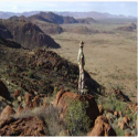 Musgrave’s Corporate Ally, Cyprium Realises Impressive Copper Leaching Results