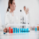 Prescient Therapeutics Update on Half Year Financials: Positive Clinical Development Continued