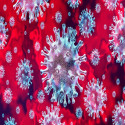  Coronavirus Metamorphosing into Global Pandemic 