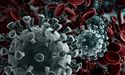  COVID-19 Epidemic: Global Rate Cuts; OECD Downgrades Economic Growth Forecasts 