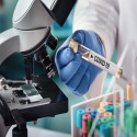  Pandemic Effect: Canberra's Next Stimulus, No Anzac Day March, Aviation Package Announced 