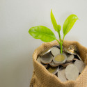 Dividend stories amidst current turmoil - SOL, RFF, BKW