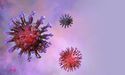  Coronavirus Latest: Signs of Spread Ebbing, Antibody Test to Be Ready Soon 