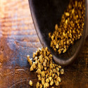 Overview of First Au’s Flagship Gimlet Gold Projectin the Western Australia Gold Fields