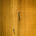 3 Agriculture-based stocks on ASX: SHV, AAC & RFF