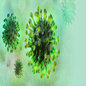  Micro-X Receives First Government Order for Nano Unitsto Help Diagnose Coronavirus 
