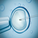 Elective Surgery Restrictions Alleviated; Virtus Health Restarts Elective IVF Treatment