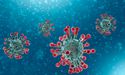  Global Virus Crisis: Morrison Says, “Clock is Ticking”, Australian Economy Must Reopen? 